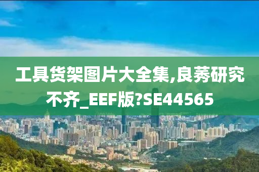 工具货架图片大全集,良莠研究不齐_EEF版?SE44565