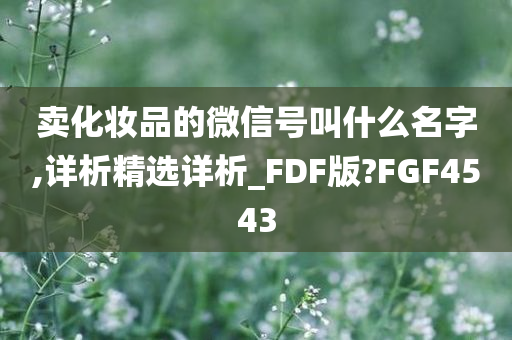 卖化妆品的微信号叫什么名字,详析精选详析_FDF版?FGF4543