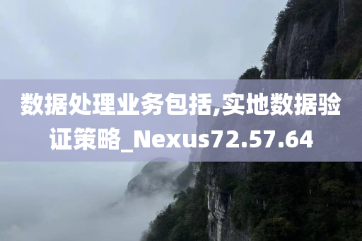 数据处理业务包括,实地数据验证策略_Nexus72.57.64