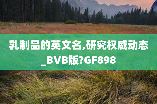 乳制品的英文名,研究权威动态_BVB版?GF898