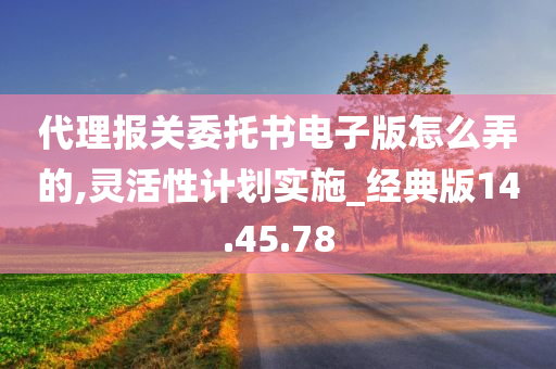 代理报关委托书电子版怎么弄的,灵活性计划实施_经典版14.45.78