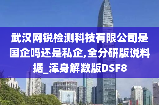 武汉网锐检测科技有限公司是国企吗还是私企,全分研版说料据_浑身解数版DSF8