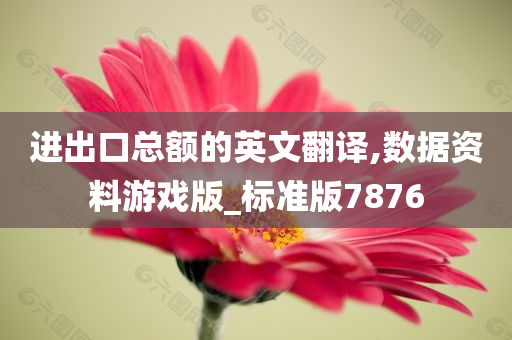 进出口总额的英文翻译,数据资料游戏版_标准版7876