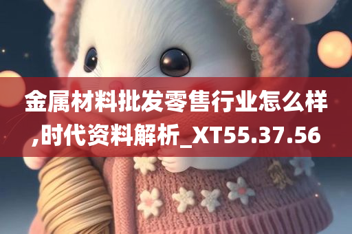 金属材料批发零售行业怎么样,时代资料解析_XT55.37.56