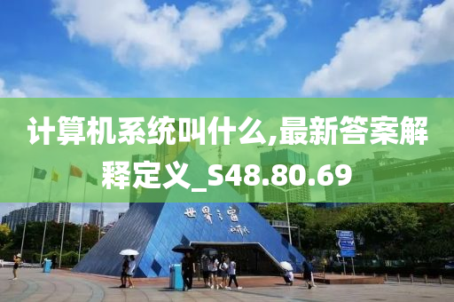 计算机系统叫什么,最新答案解释定义_S48.80.69