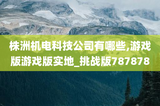 株洲机电科技公司有哪些,游戏版游戏版实地_挑战版787878