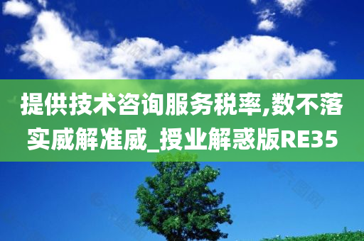 提供技术咨询服务税率,数不落实威解准威_授业解惑版RE35