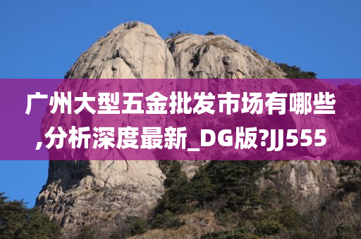 广州大型五金批发市场有哪些,分析深度最新_DG版?JJ555