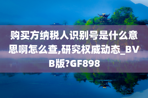 购买方纳税人识别号是什么意思啊怎么查,研究权威动态_BVB版?GF898