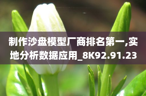 制作沙盘模型厂商排名第一,实地分析数据应用_8K92.91.23