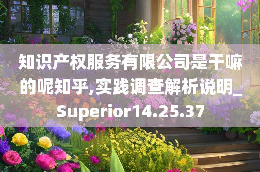 知识产权服务有限公司是干嘛的呢知乎,实践调查解析说明_Superior14.25.37