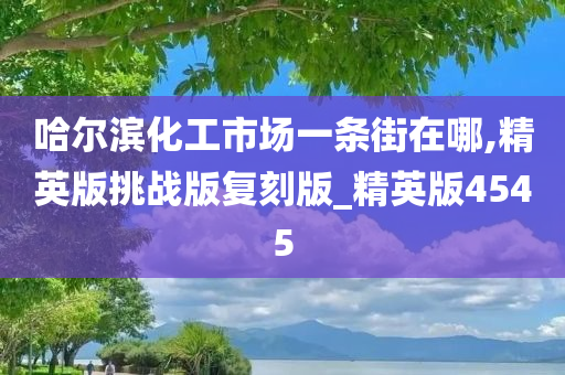 哈尔滨化工市场一条街在哪,精英版挑战版复刻版_精英版4545