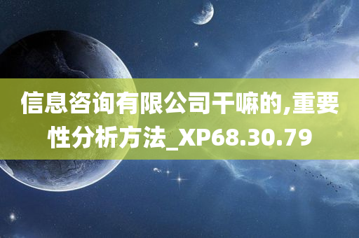 信息咨询有限公司干嘛的,重要性分析方法_XP68.30.79