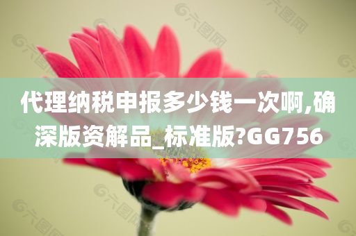 代理纳税申报多少钱一次啊,确深版资解品_标准版?GG756