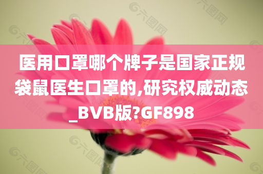 医用口罩哪个牌子是国家正规袋鼠医生口罩的,研究权威动态_BVB版?GF898