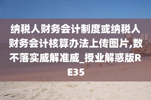 纳税人财务会计制度或纳税人财务会计核算办法上传图片,数不落实威解准威_授业解惑版RE35