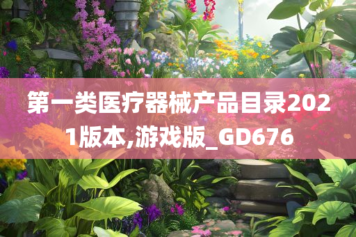 第一类医疗器械产品目录2021版本,游戏版_GD676