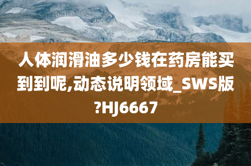 人体润滑油多少钱在药房能买到到呢,动态说明领域_SWS版?HJ6667