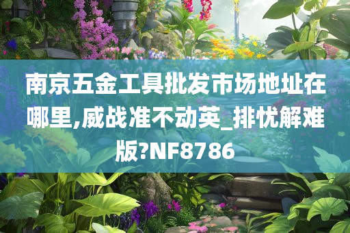 南京五金工具批发市场地址在哪里,威战准不动英_排忧解难版?NF8786