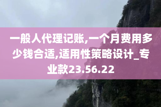 一般人代理记账,一个月费用多少钱合适,适用性策略设计_专业款23.56.22