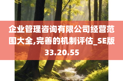 企业管理咨询有限公司经营范围大全,完善的机制评估_SE版33.20.55