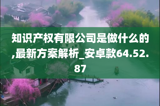 知识产权有限公司是做什么的,最新方案解析_安卓款64.52.87