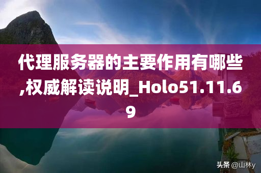 代理服务器的主要作用有哪些,权威解读说明_Holo51.11.69