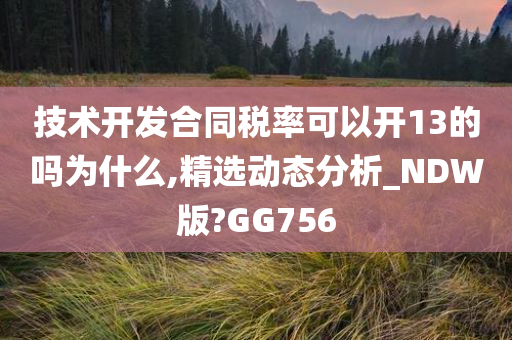 技术开发合同税率可以开13的吗为什么,精选动态分析_NDW版?GG756