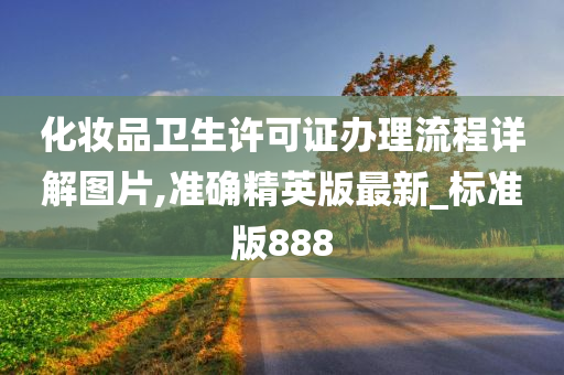 化妆品卫生许可证办理流程详解图片,准确精英版最新_标准版888