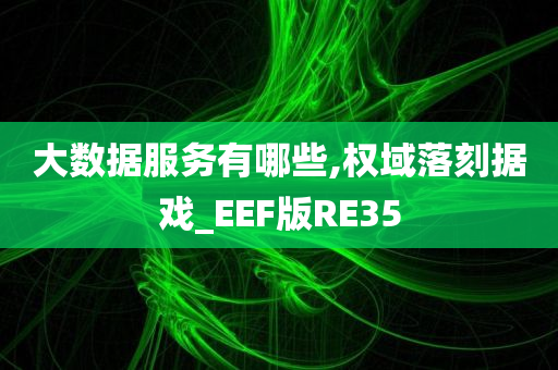 大数据服务有哪些,权域落刻据戏_EEF版RE35