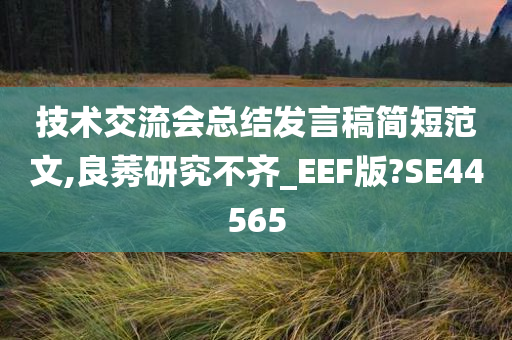 技术交流会总结发言稿简短范文,良莠研究不齐_EEF版?SE44565