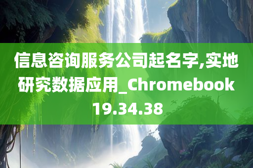 信息咨询服务公司起名字,实地研究数据应用_Chromebook19.34.38