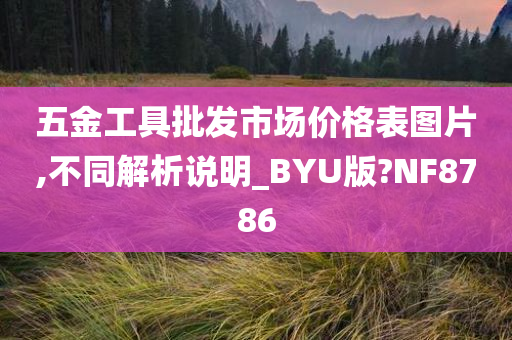 五金工具批发市场价格表图片,不同解析说明_BYU版?NF8786