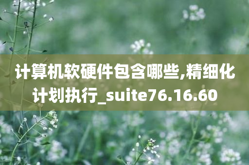 计算机软硬件包含哪些,精细化计划执行_suite76.16.60