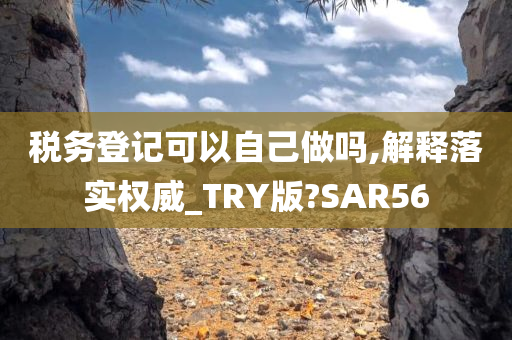 税务登记可以自己做吗,解释落实权威_TRY版?SAR56