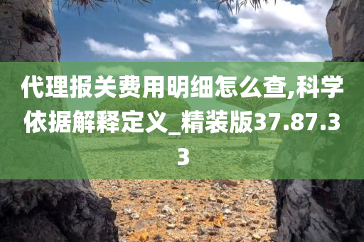 代理报关费用明细怎么查,科学依据解释定义_精装版37.87.33