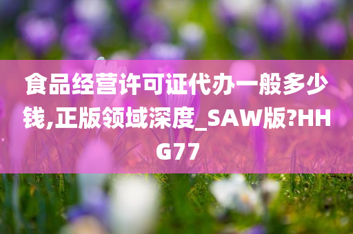 食品经营许可证代办一般多少钱,正版领域深度_SAW版?HHG77