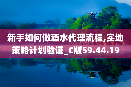 新手如何做酒水代理流程,实地策略计划验证_C版59.44.19