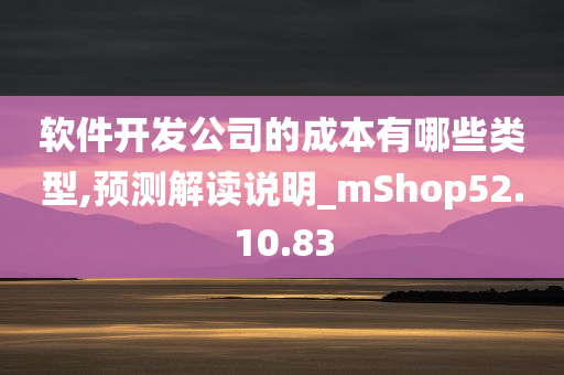 软件开发公司的成本有哪些类型,预测解读说明_mShop52.10.83