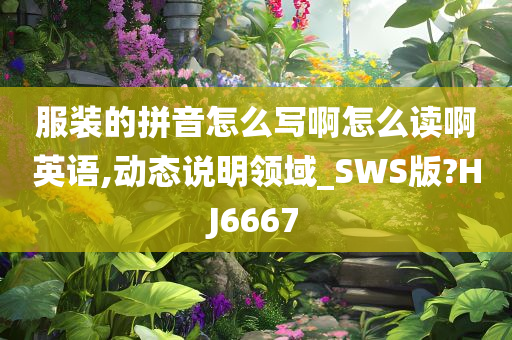 服装的拼音怎么写啊怎么读啊英语,动态说明领域_SWS版?HJ6667