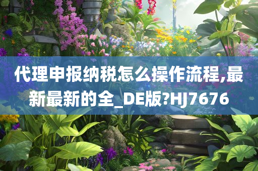 代理申报纳税怎么操作流程,最新最新的全_DE版?HJ7676