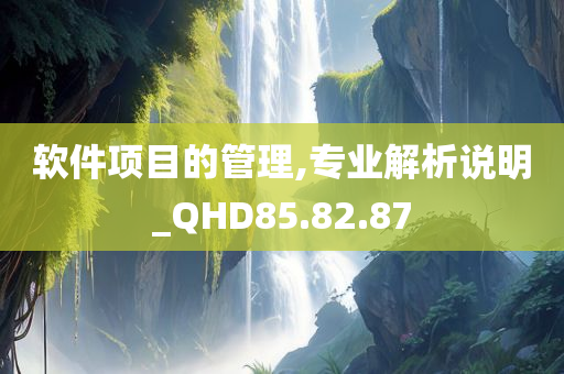 软件项目的管理,专业解析说明_QHD85.82.87