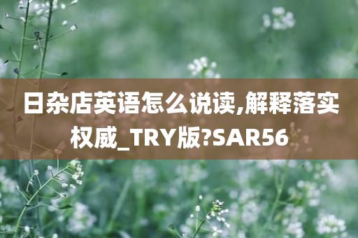 日杂店英语怎么说读,解释落实权威_TRY版?SAR56