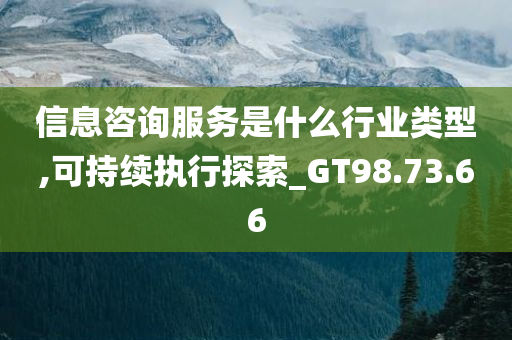 信息咨询服务是什么行业类型,可持续执行探索_GT98.73.66