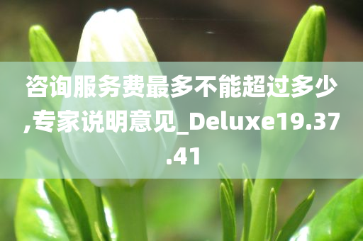 咨询服务费最多不能超过多少,专家说明意见_Deluxe19.37.41