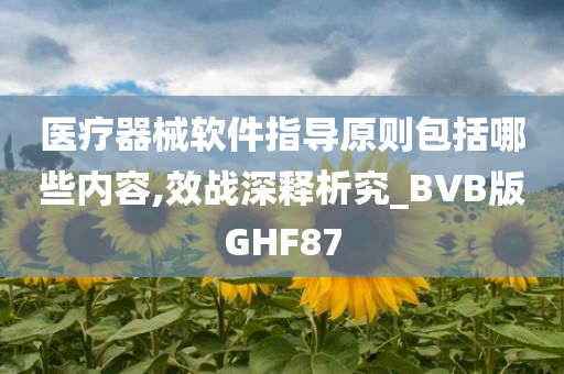 医疗器械软件指导原则包括哪些内容,效战深释析究_BVB版GHF87