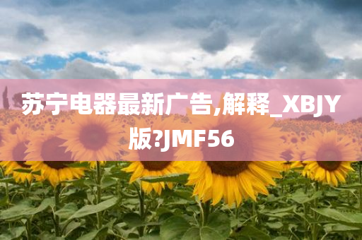 苏宁电器最新广告,解释_XBJY版?JMF56