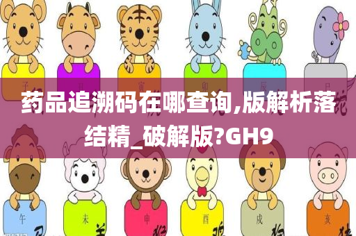 药品追溯码在哪查询,版解析落结精_破解版?GH9