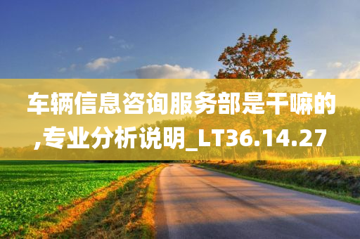 车辆信息咨询服务部是干嘛的,专业分析说明_LT36.14.27