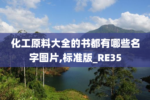 化工原料大全的书都有哪些名字图片,标准版_RE35